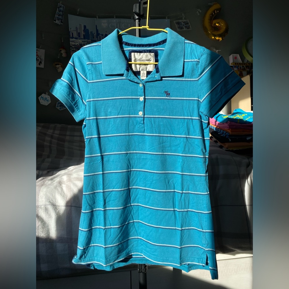 Abercrombie & Fitch Women's Polo Top (blue, L)